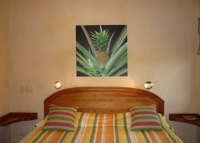 Hotel Boutique Luna Azul Ostional Wildlife Refuge
