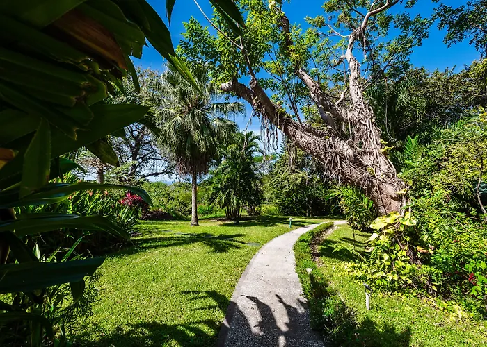 Boutique Luna Azul Ostional Wildlife Refuge